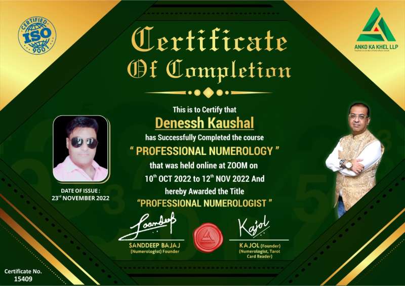 Professional Numerology